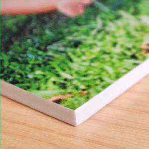 PVC Blanco (5 mm)